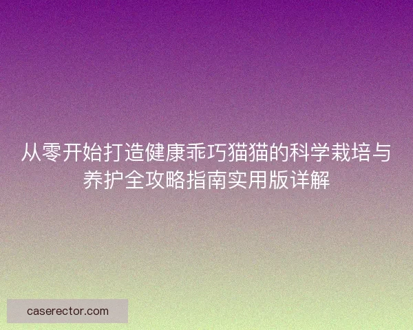 从零开始打造健康乖巧猫猫的科学栽培与养护全攻略指南实用版详解